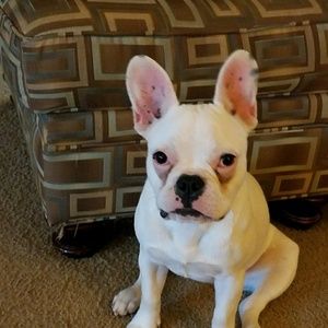 Meet your Posher, Laura